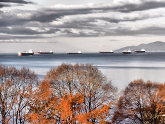 Several large cargo ships are floating on a calm body of water with a backdrop of distant mountains. The foreground features trees with autumn foliage, displaying orange and brown leaves. The sky is filled with thick, dramatic clouds, indicating an overcast day.