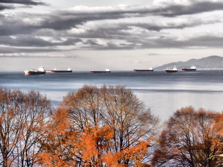 Several large cargo ships are floating on a calm body of water with a backdrop of distant mountains. The foreground features trees with autumn foliage, displaying orange and brown leaves. The sky is filled with thick, dramatic clouds, indicating an overcast day.