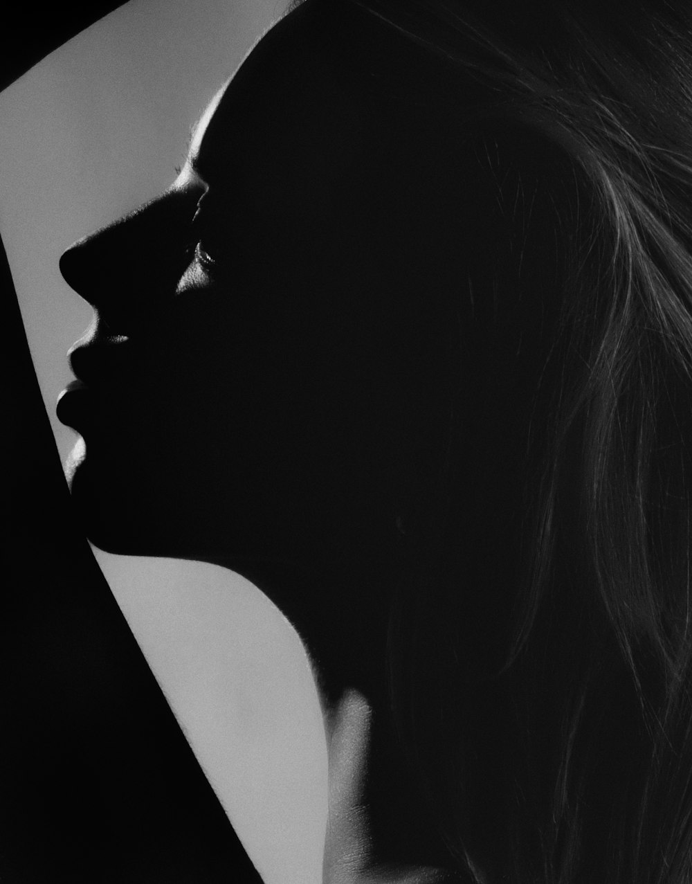 silhouette of woman