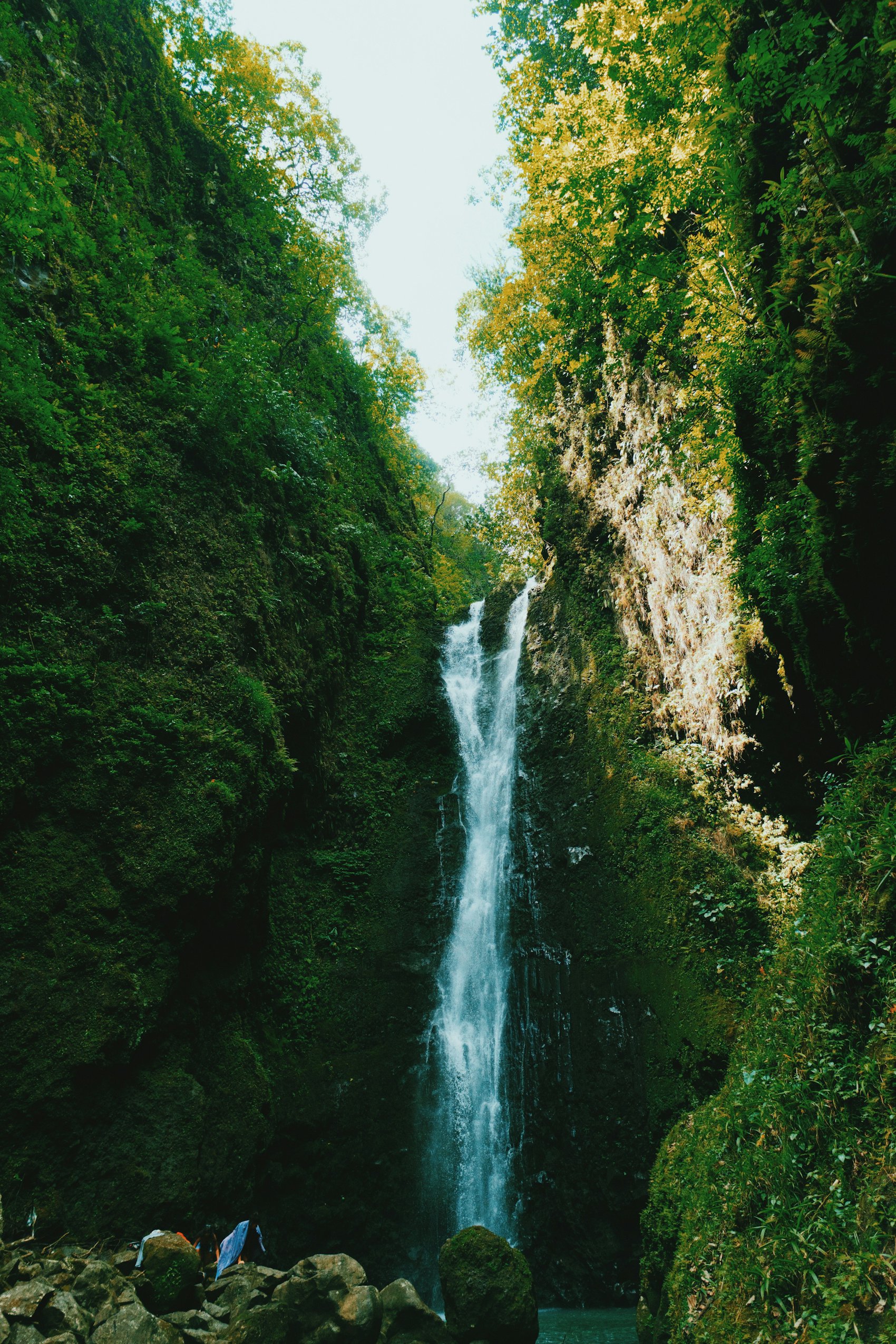 A waterfall tumbling through the Maui jungle