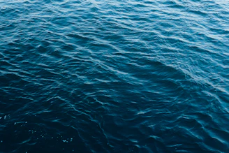 A panoramic view of a deep ocean with hexagonal patterns subtly overlaying the waves.