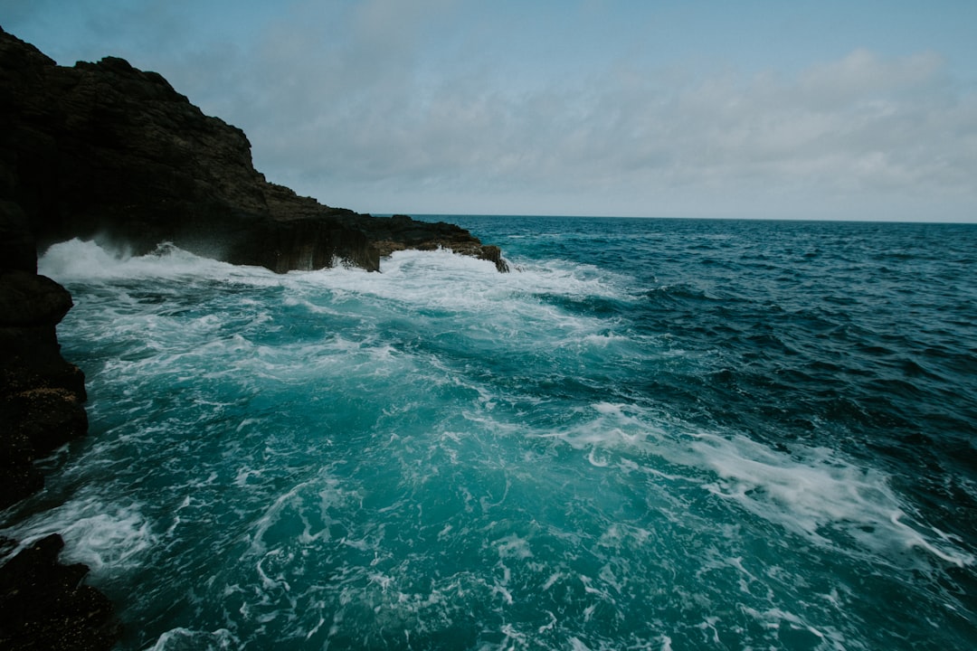 Shore photo spot Kiama Blowhole Wollongong NSW