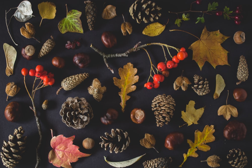 fruits lot on black surface