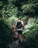 Traveler wearing a sleek hiking bag walking through a dense green forest