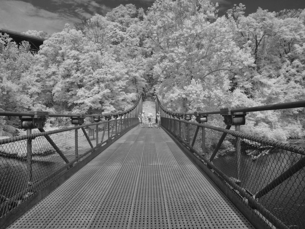 footbridge grayscale photo