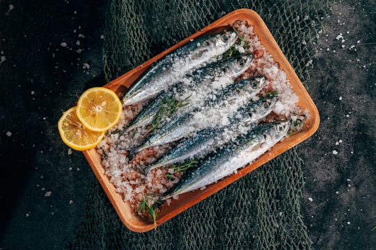 Fresh sardines are neatly arranged on a wooden tray covered with coarse sea salt. Lemon slices and sprigs of fresh herbs complement the fish, and a fishing net is partially visible beneath the tray.