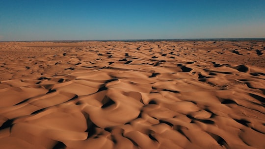 photography of brown sand in Algodones Dunes United States