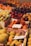 A variety of fresh fruits are neatly arranged in boxes at a market. The selection includes citrus fruits, apples, plums, figs, and peaches. Each box is labeled with handwritten signs displaying prices or names. The scene is colorful and vibrant, highlighting the abundance of fresh produce available.