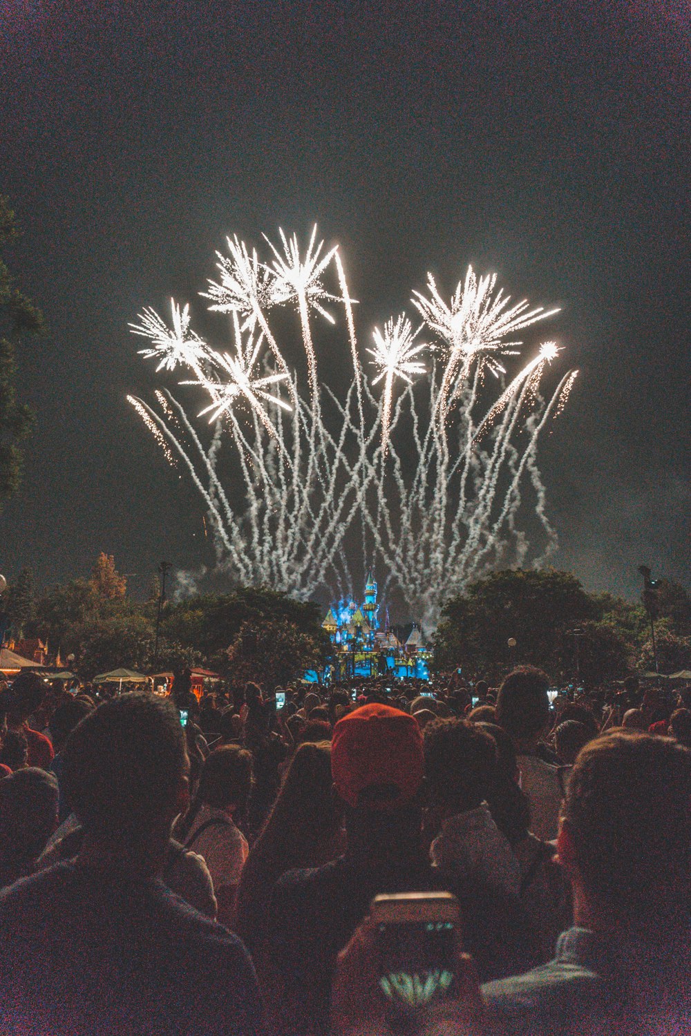 group of people standing watching firework display