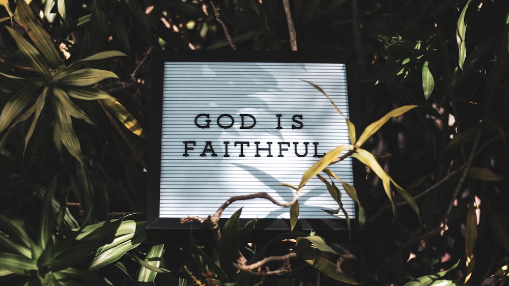 God is Faithful 看板と葉っぱの背景
