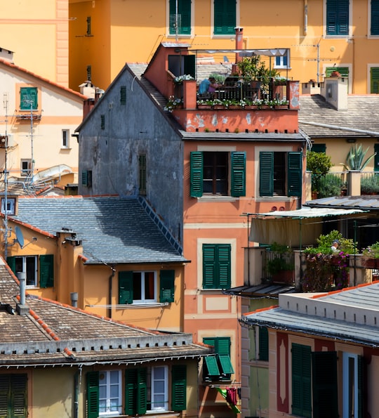 Camogli things to do in San Vincenzo