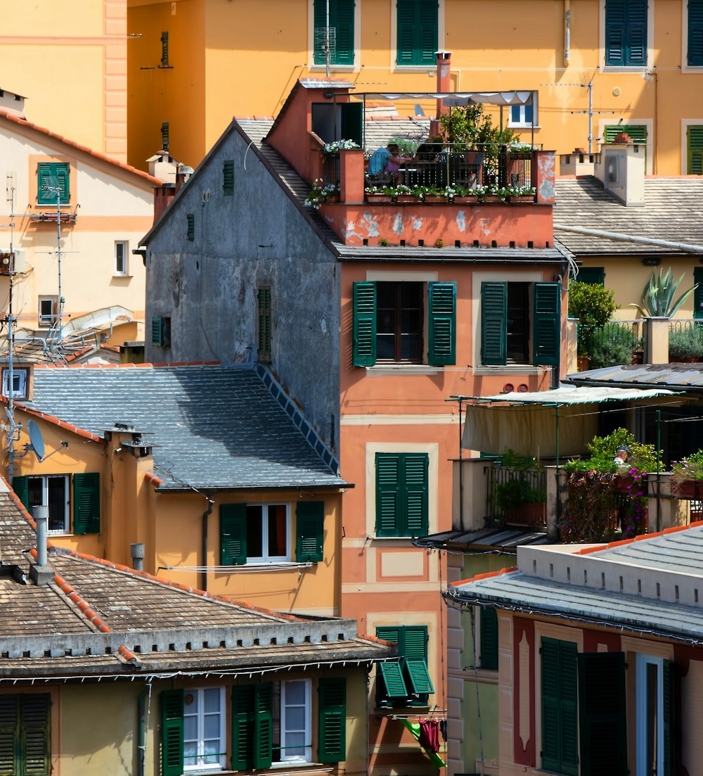 person on rooftop near flowers