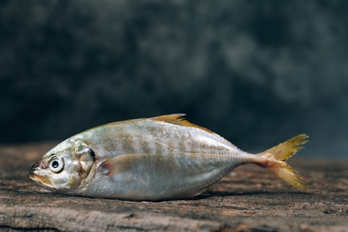 Moqueca de Peixe