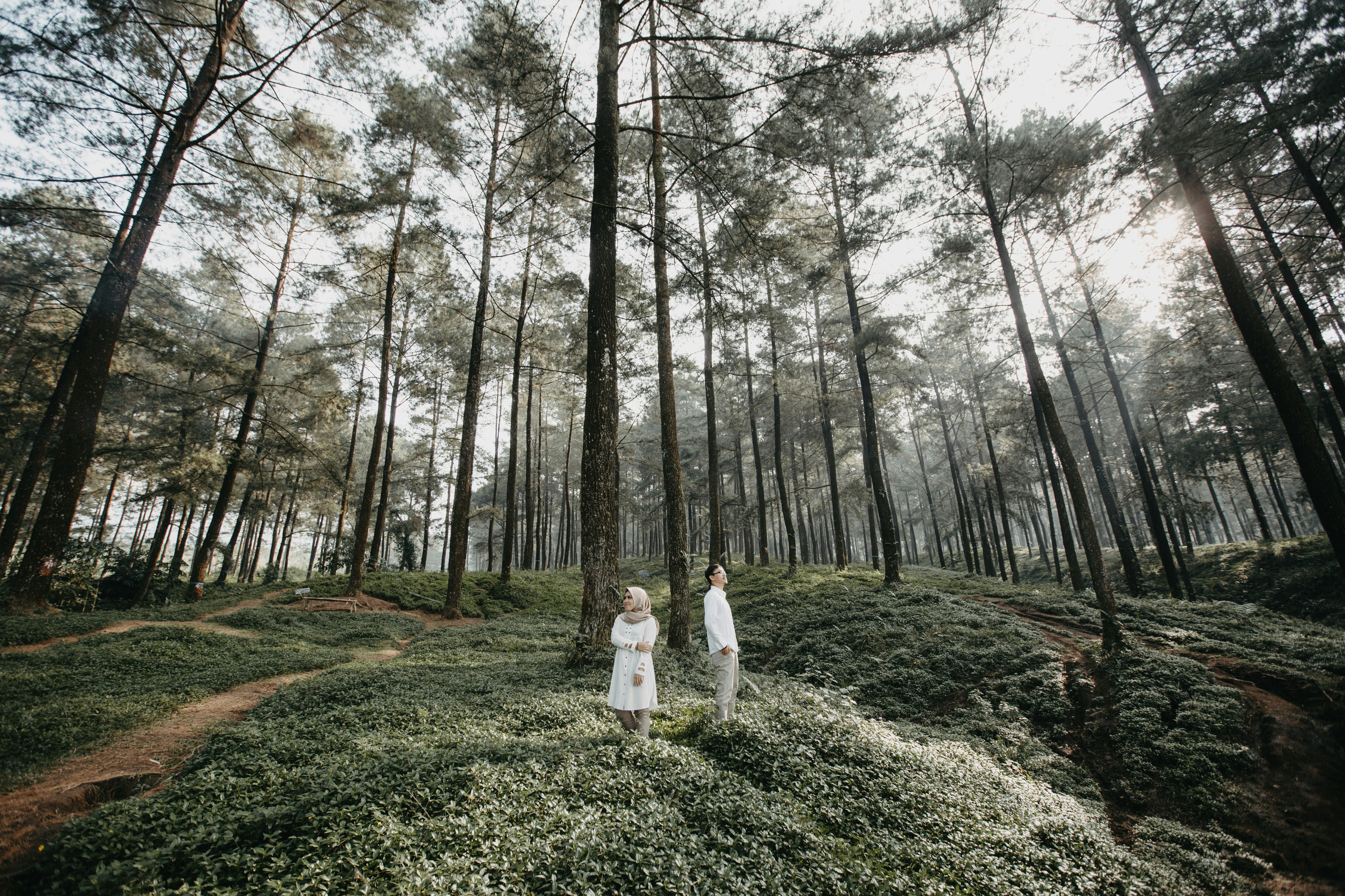 man and woman inside forest