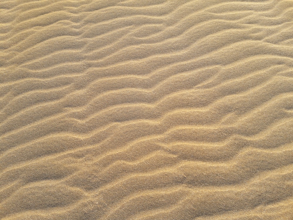 close-up photo of sand