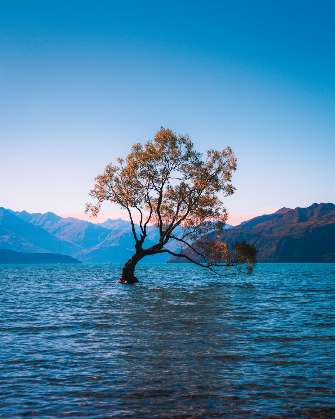 travelers stories about Lake in Wanaka, New Zealand