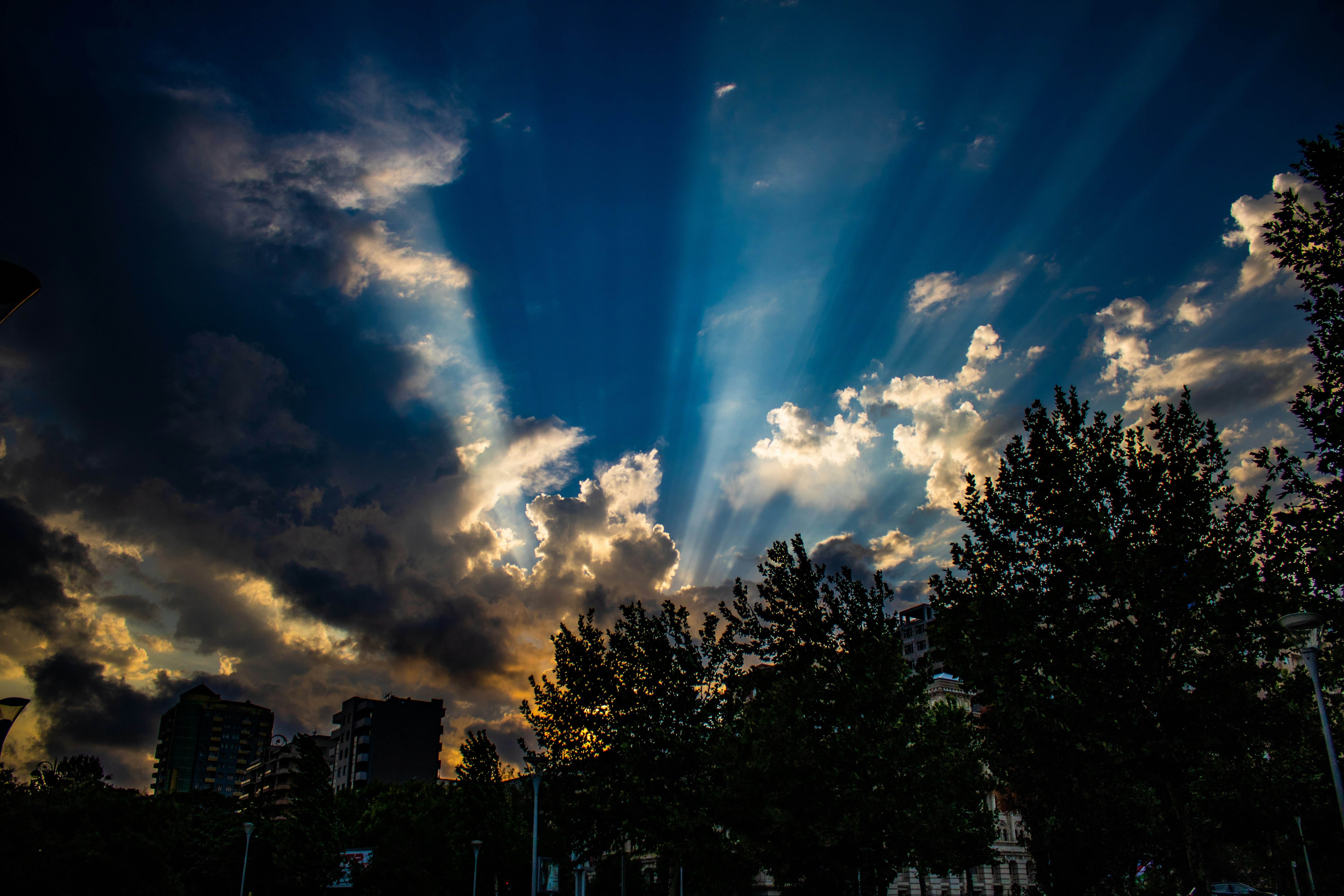 Photo by soltancode