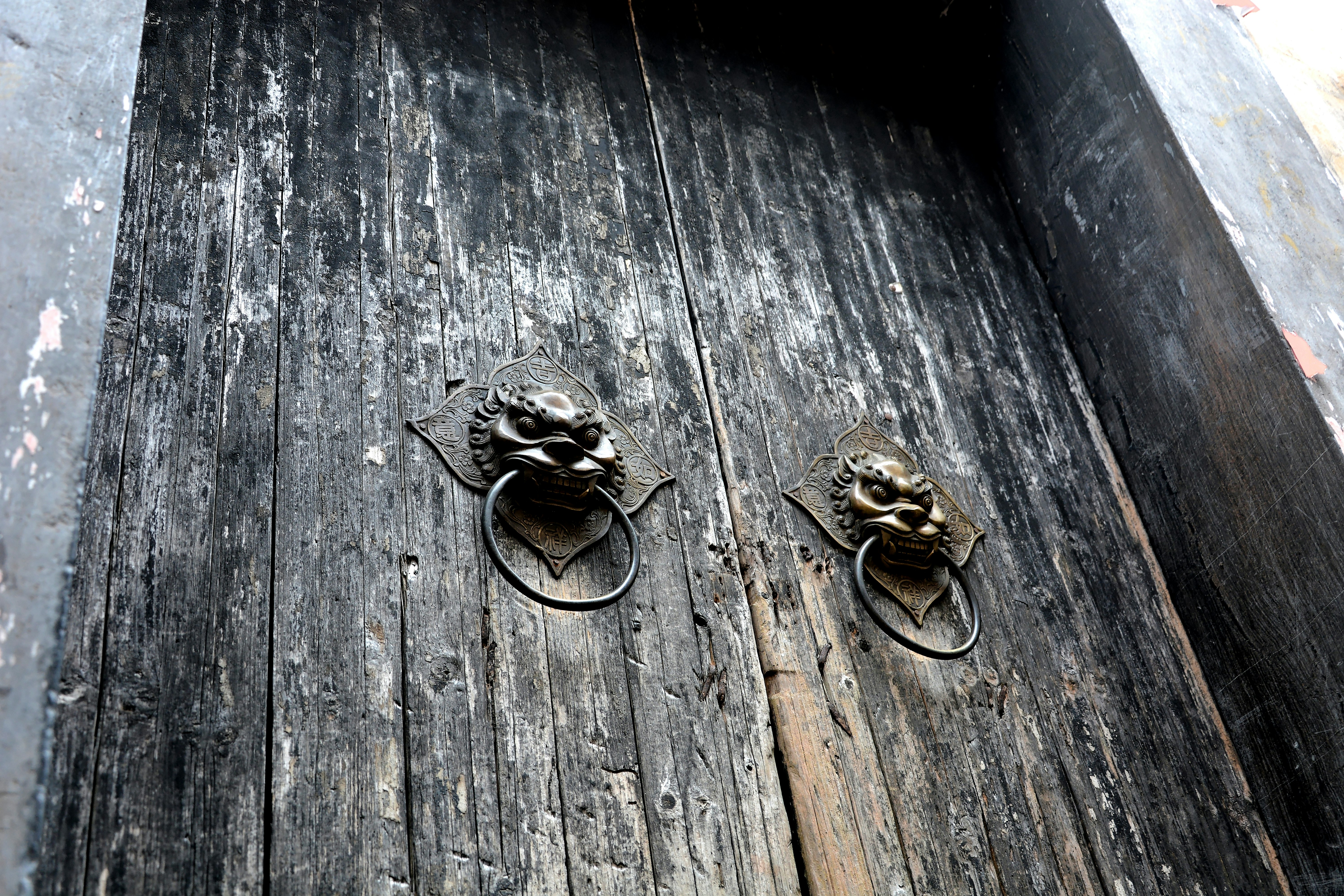 two brass door knockers on gray wooden doors
