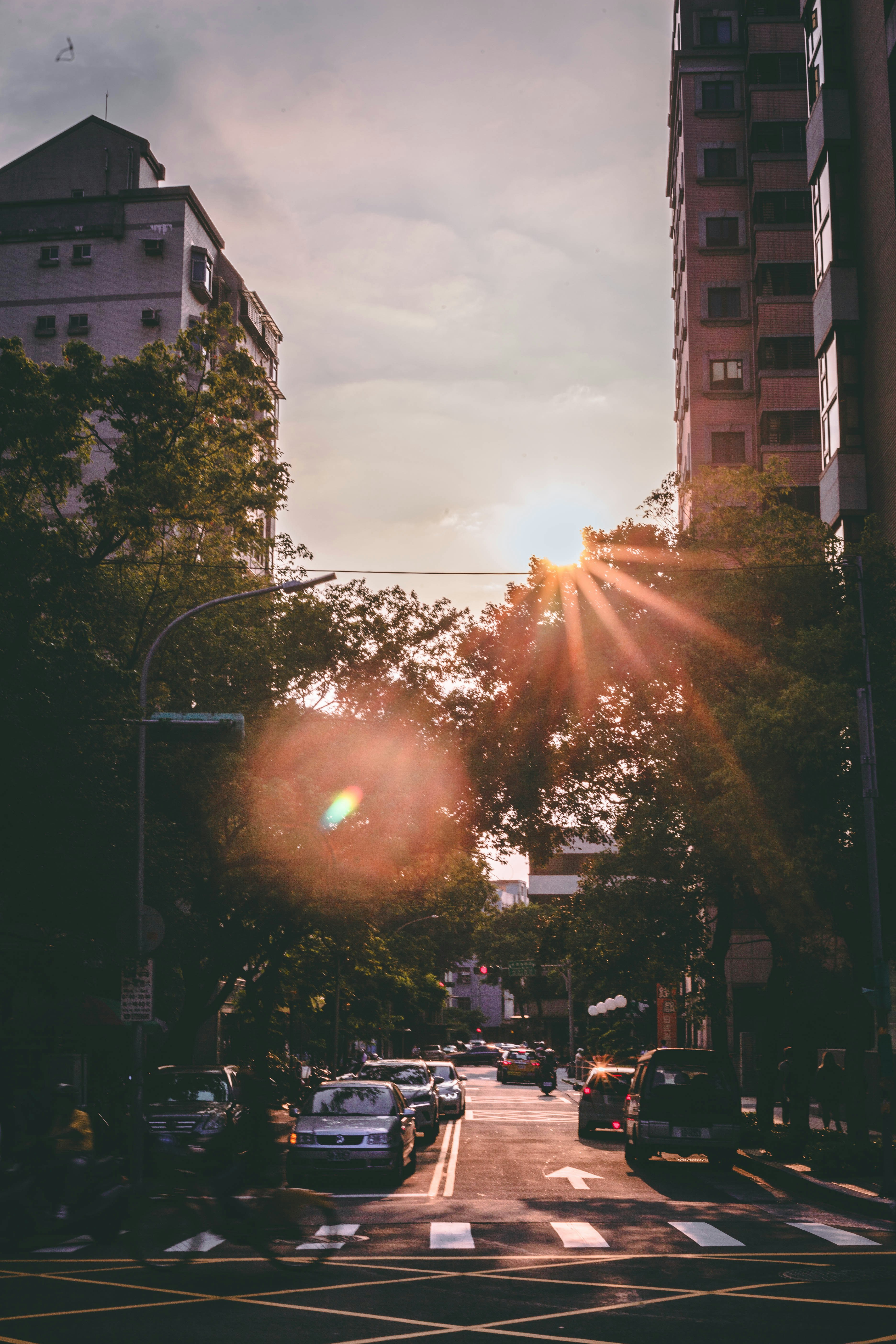 1000+ Afternoon Pictures | Download Free Images on Unsplash