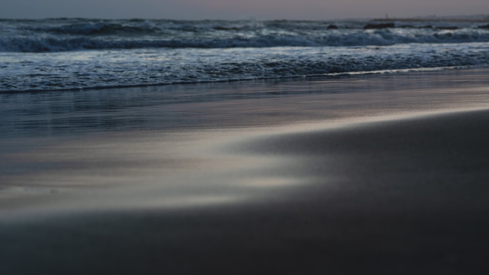 a bird standing on a beach next to the ocean