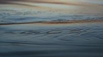 A serene close-up of calm water ripples reflecting soft pastel sky tones.