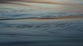 Close-up of gentle ripples on a quiet lake reflecting the sky.