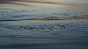 Close-up of gentle ripples on a serene lake reflecting the early morning light.