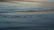 A serene close-up of calm water ripples reflecting soft pastel sky tones.