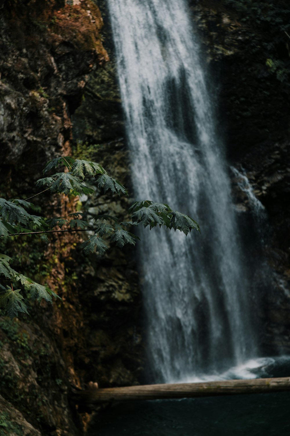 waterfalls in the forest