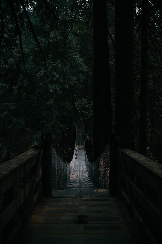 man standing at middle of hanging bridge in Cascade Falls Trail Canada