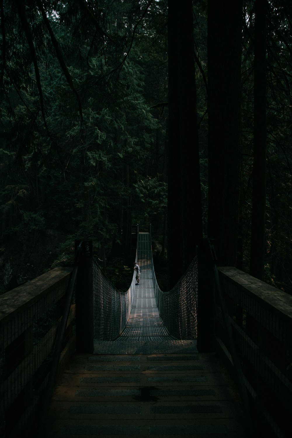 man standing at middle of hanging bridge