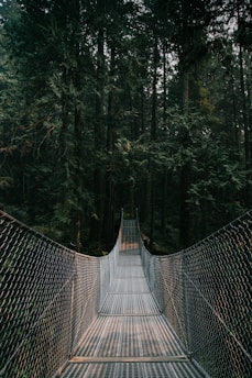 gray and brown hanging bridge on between trees at daytime