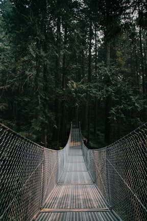 gray and brown hanging bridge on between trees at daytime