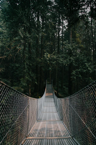 gray and brown hanging bridge on between trees at daytime