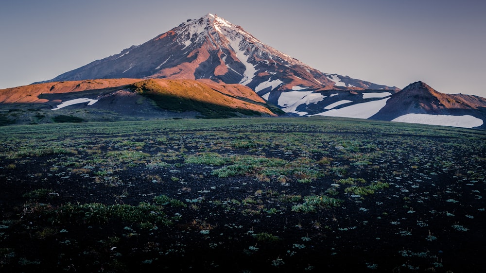 rocky mountain next to forest