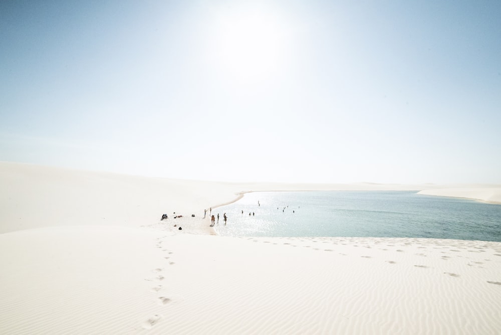 body of water during daytime