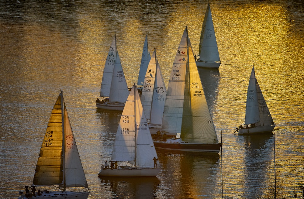 white sailboats on body of water during daytime