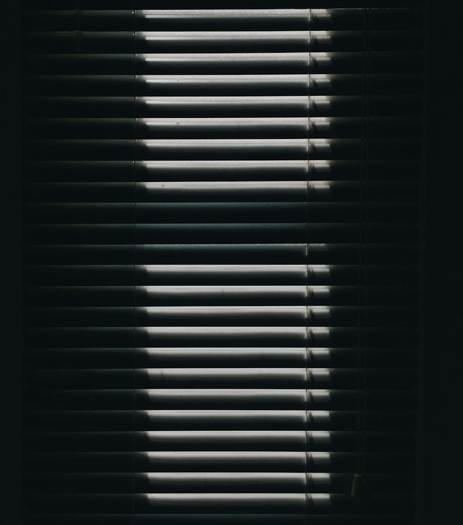 Zebra Blinds
