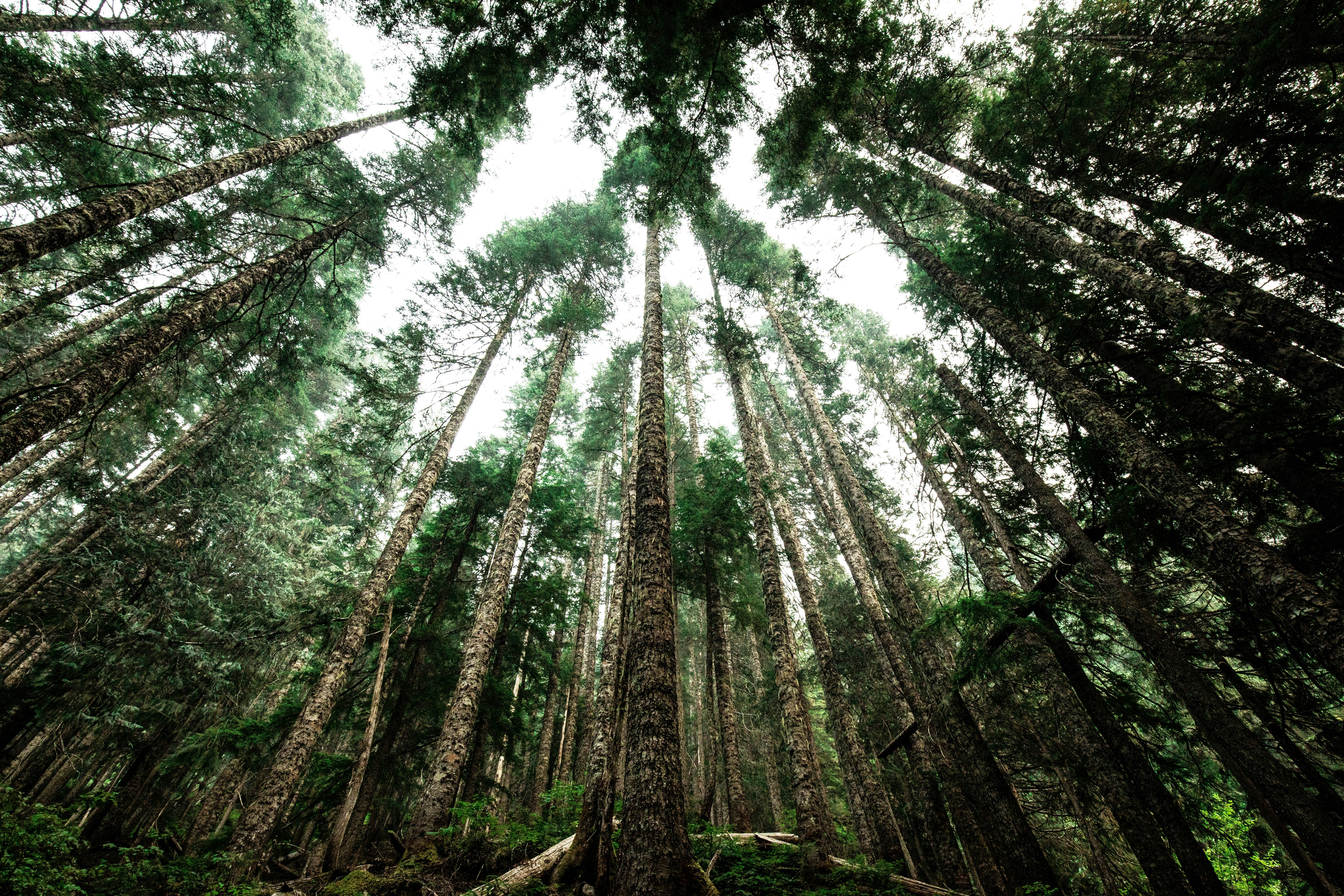 Photo by davidgaviphoto