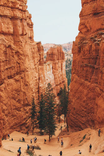 Utah