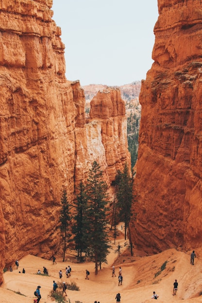 group of people in canyon during daytime