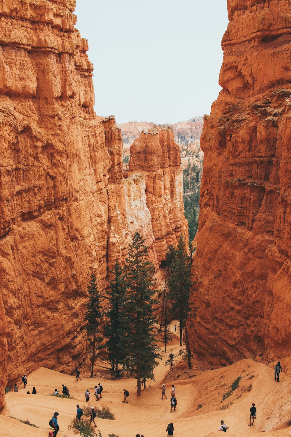 groupe de personnes dans le canyon pendant la journée