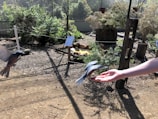 A bird is captured mid-flight near a person's outstretched hand, with another bird in the background. The setting appears to be an outdoor, nature-themed area with lots of greenery and sunlight casting shadows on the gravel-covered ground.