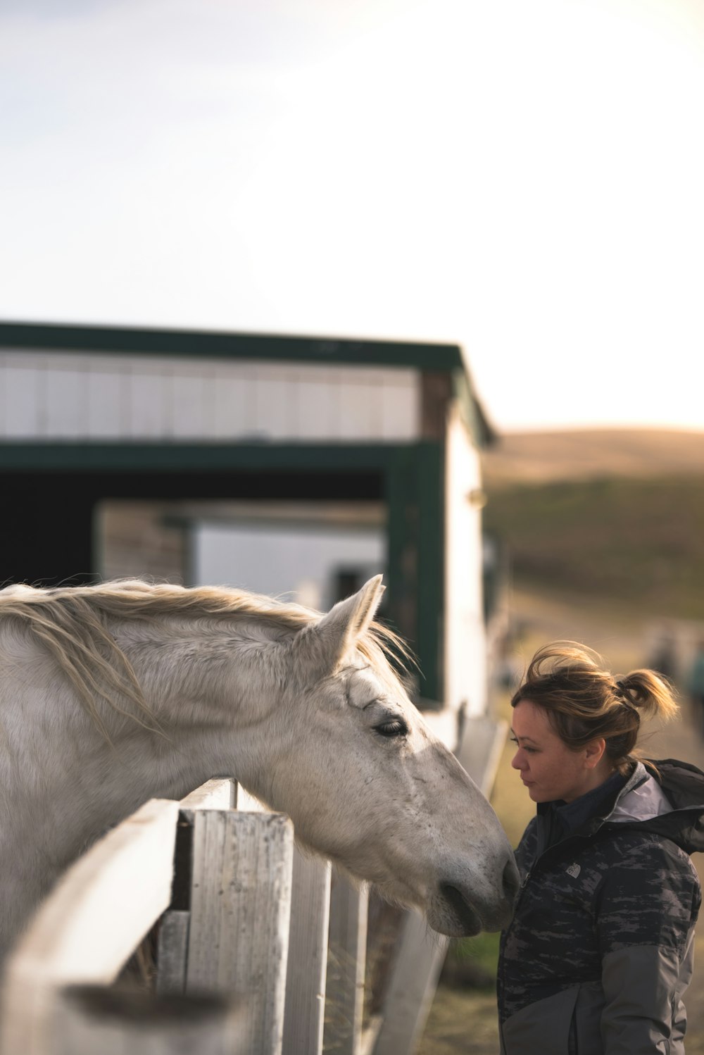 Donna vicino al cavallo bianco