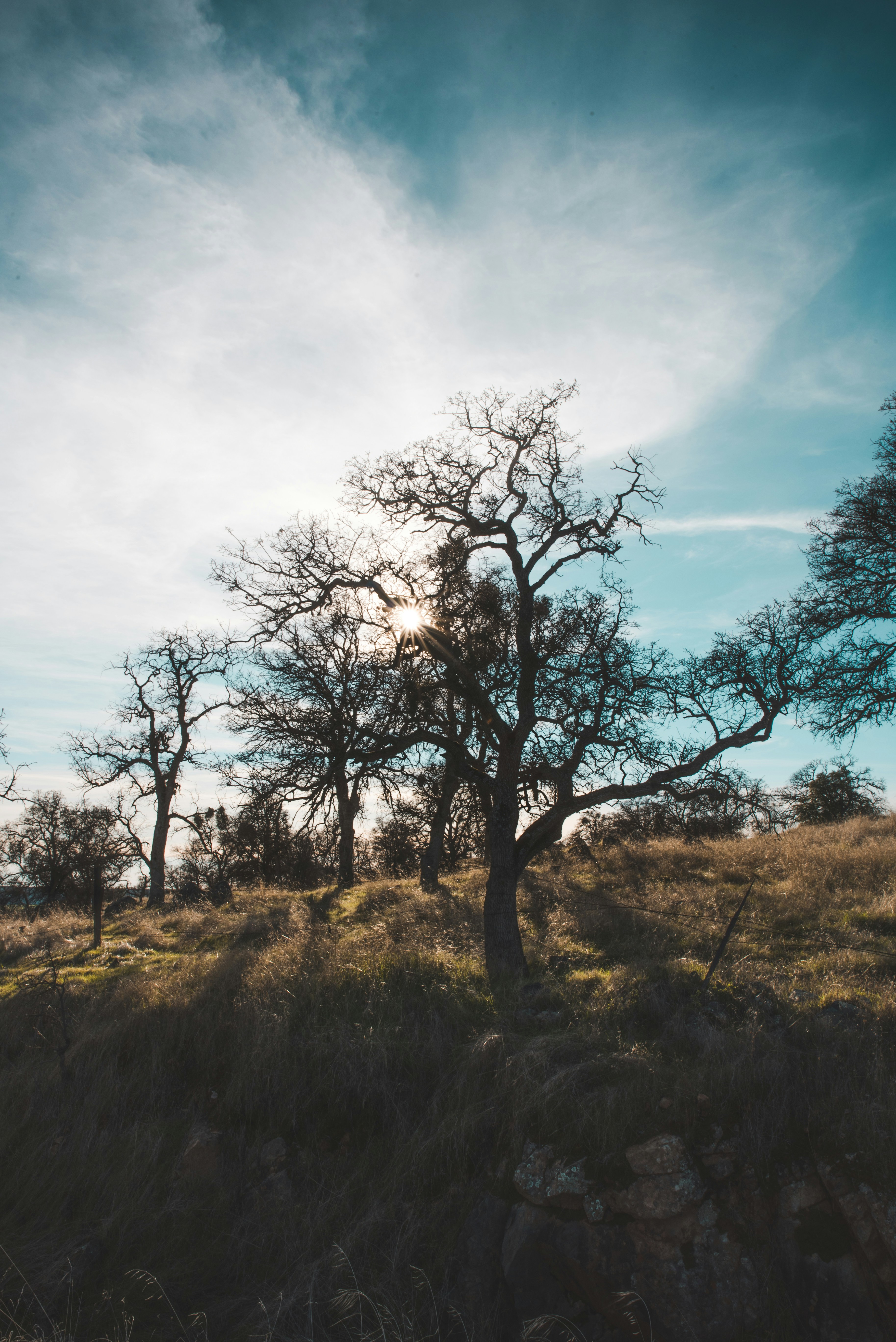 Photo by mischievous_penguins