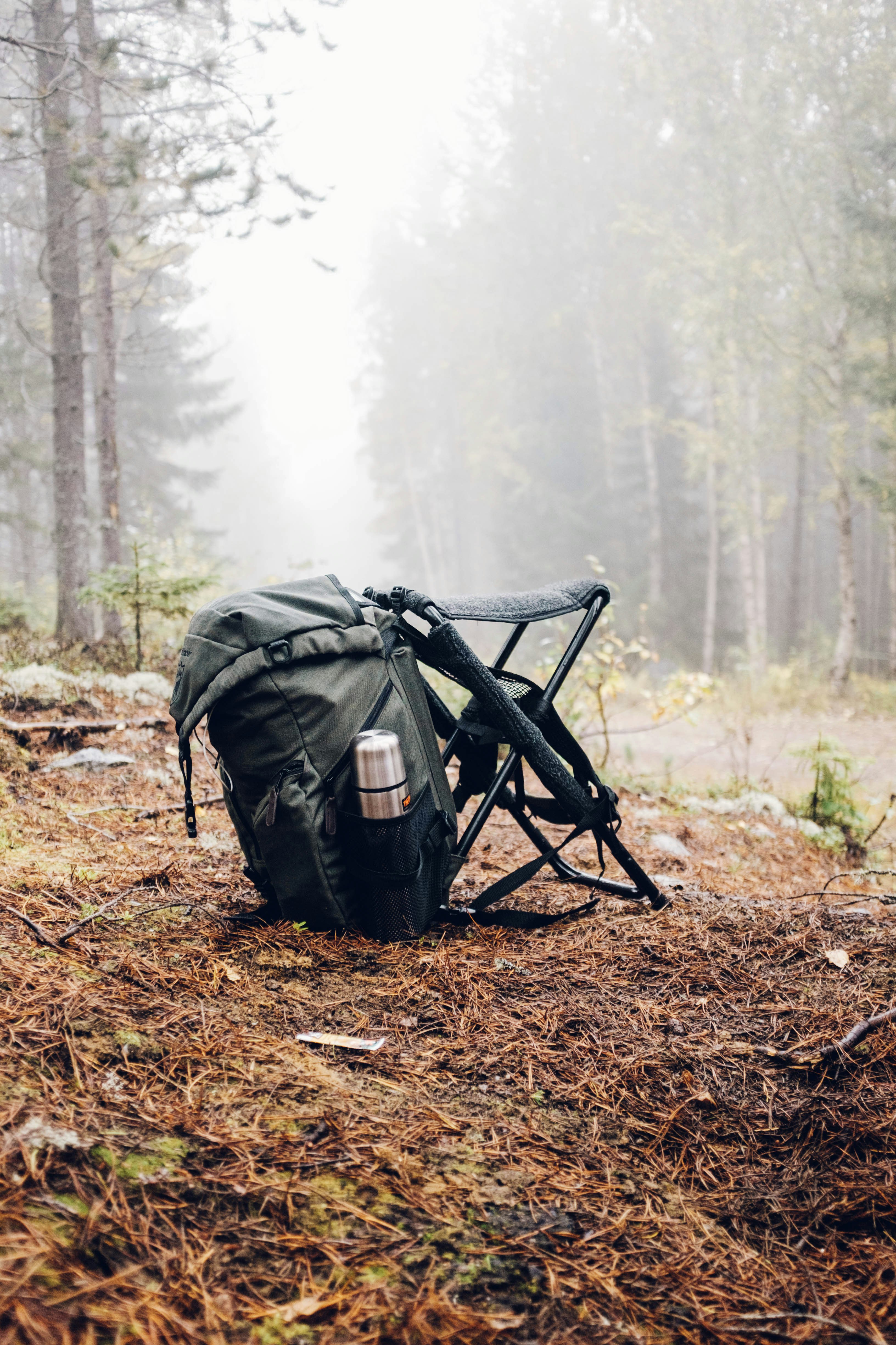 How to Prepare for Your First Safari