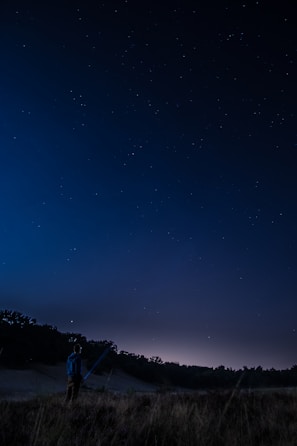 A person studying a handmade map under the stars at night.