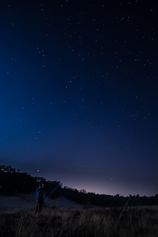 A person stands in a grassy field at night, holding a telescope and gazing up at a starry sky. The horizon is visible with a faint glow, suggesting either a distant village or the remnants of sunset. Trees form a dark silhouette in the background.