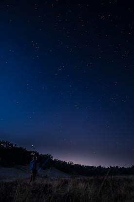 A person stands in a grassy field at night, holding a telescope and gazing up at a starry sky. The horizon is visible with a faint glow, suggesting either a distant village or the remnants of sunset. Trees form a dark silhouette in the background.
