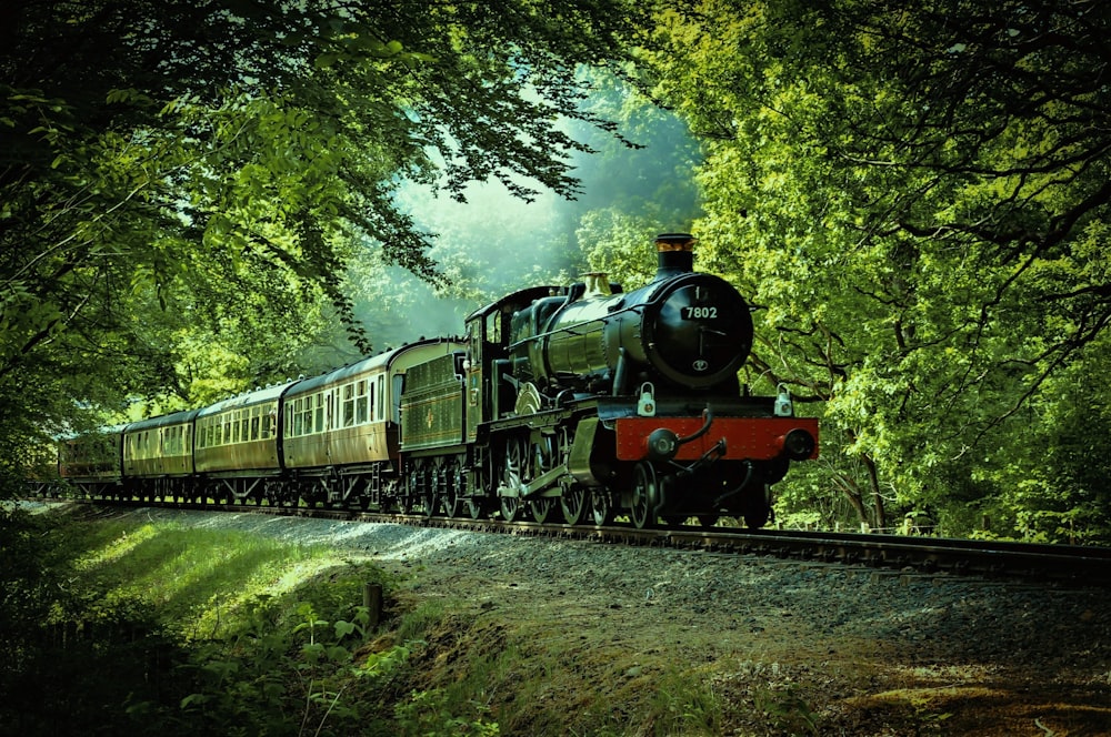 Treno nero e rosso che attraversa la foresta